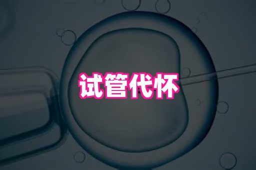 821孕网 4